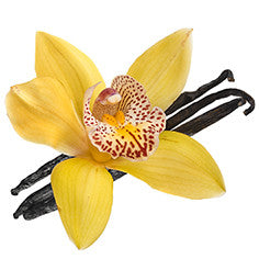 Organic Vanilla Absolute