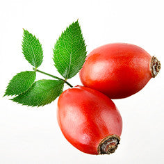 Rosehip Seed Oil