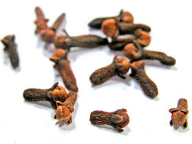 Clove Bud Essential Oil
