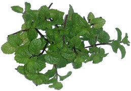 Spearmint Essential Oil