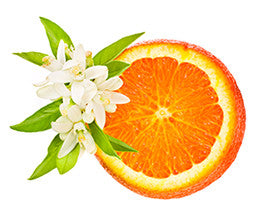 Petitgrain Essential Oil